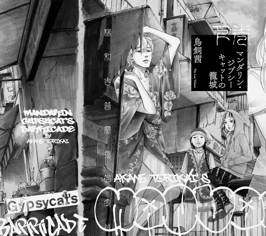 Page 2 Chapter 8 Mandarin Gypsy Cats Barricade