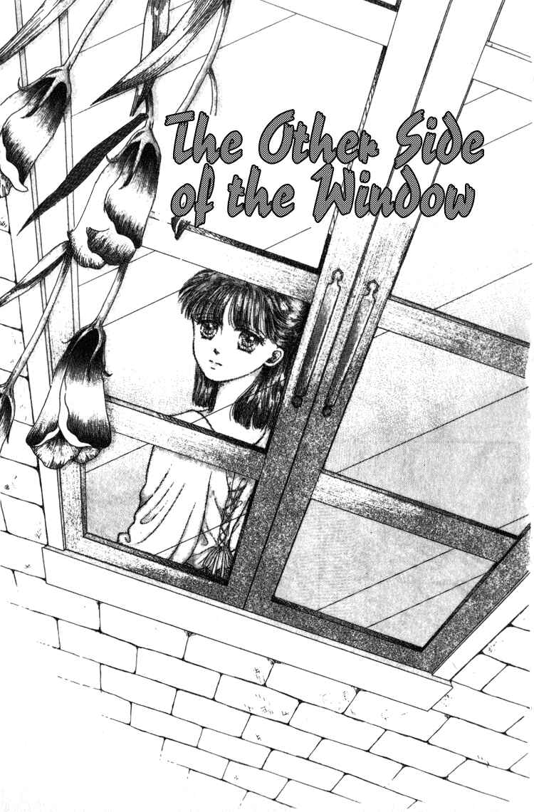 Page 2 Chapter 4 Whitewave Illusion