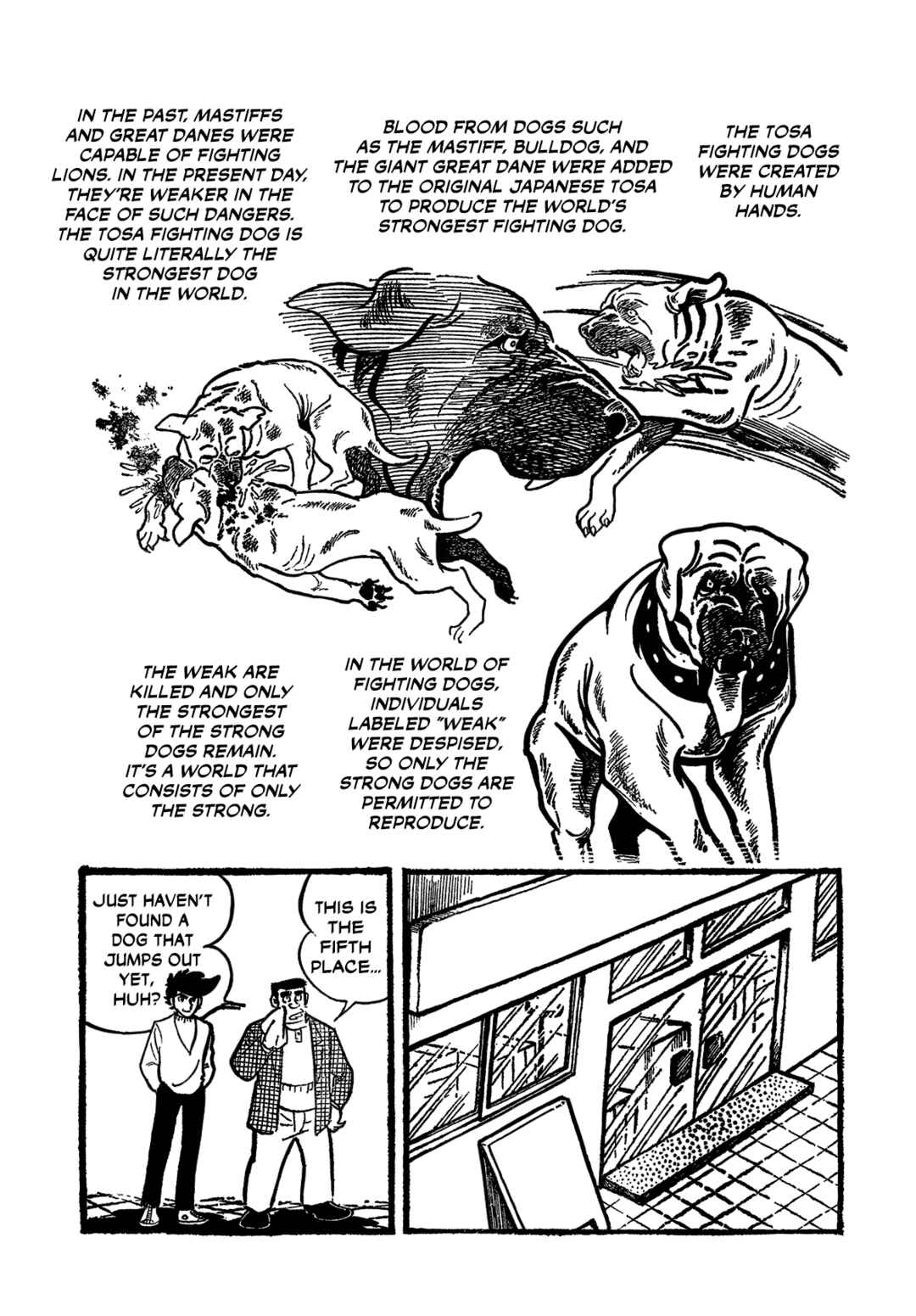 Page 14 Chapter Unknown_8b66 Raid of the Fighting Dogs