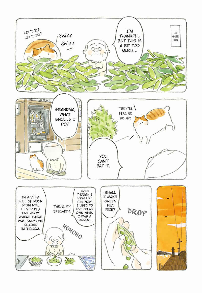Page 4 Chapter 3 Cat and Grandpa