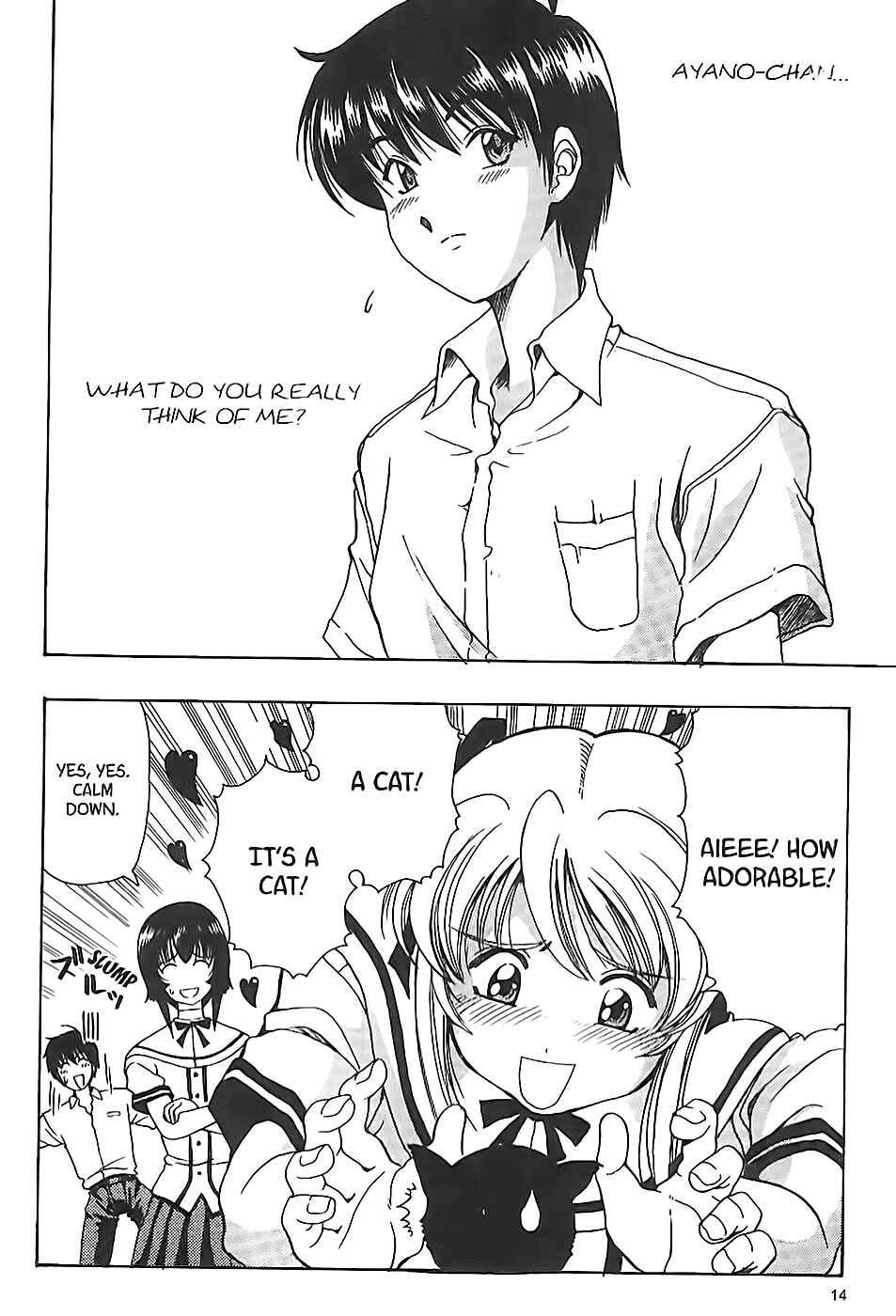Page 15 Chapter 6 Puri Puri