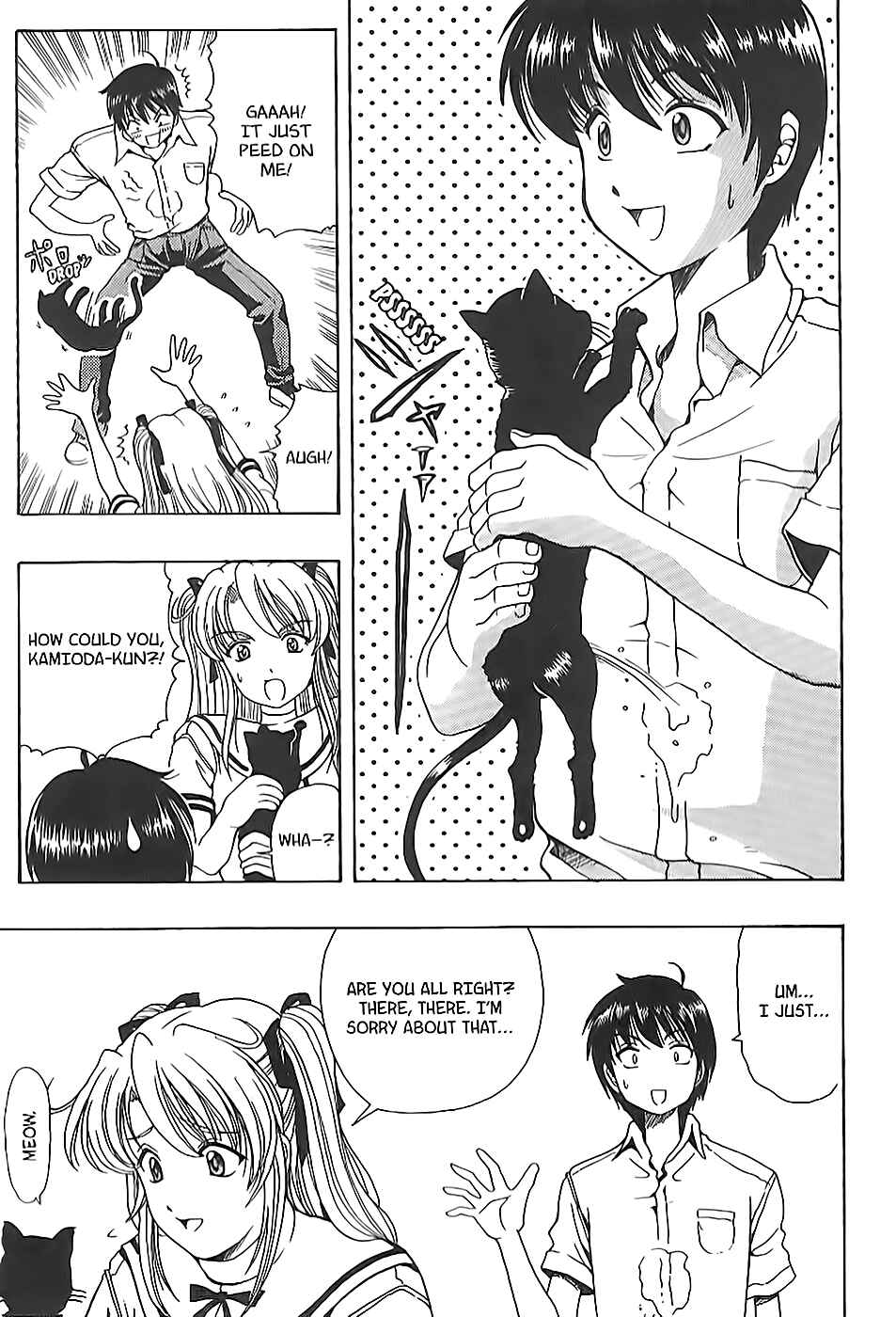 Page 22 Chapter 6 Puri Puri