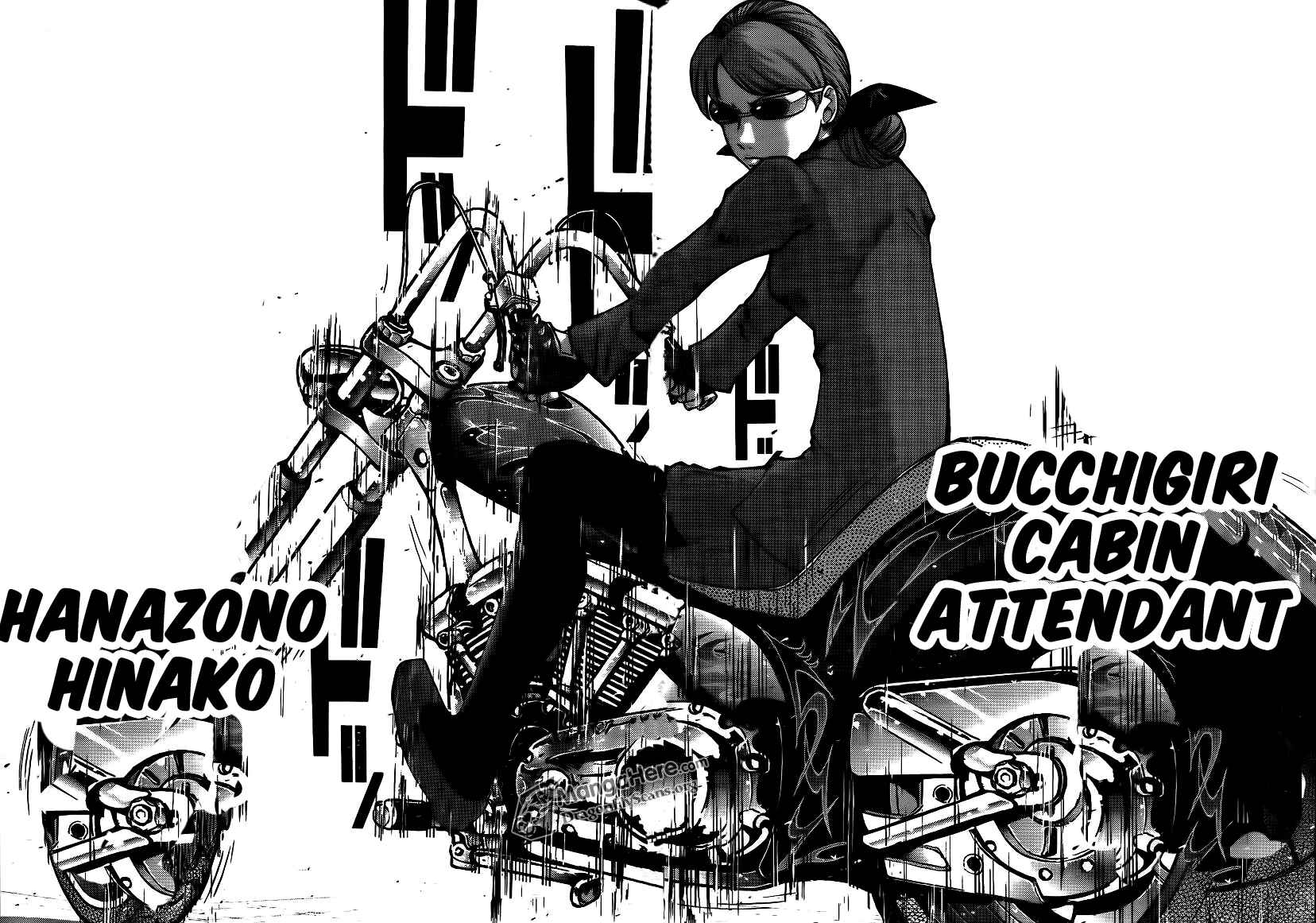 Page 17 Chapter 2 Bucchigiri CA