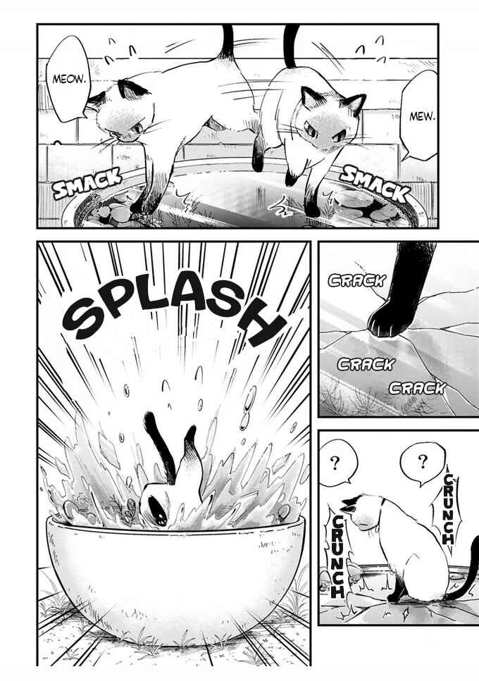 Page 9 Chapter 15 Good Morning Leon