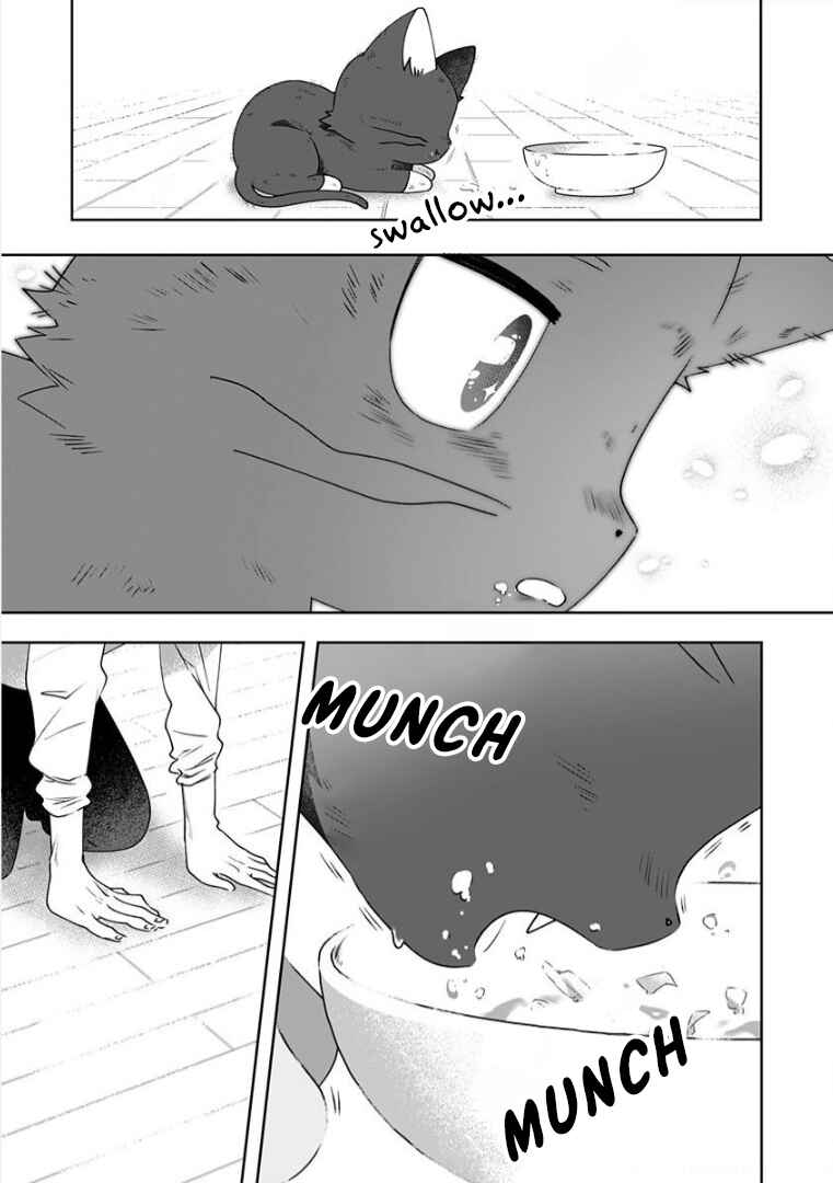 Page 12 Chapter 2 Neko ni wa Neko no Neko Gohan