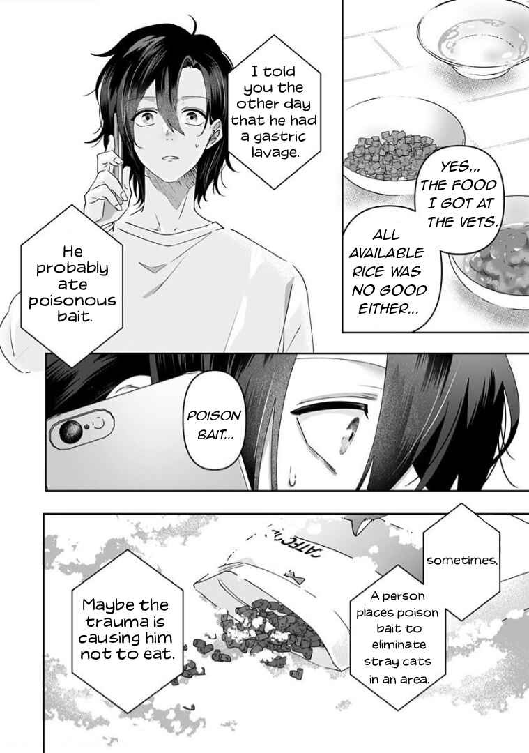 Page 3 Chapter 2 Neko ni wa Neko no Neko Gohan
