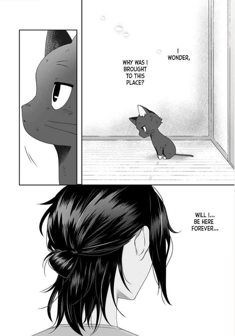 Page 4 Chapter 4 Neko ni wa Neko no Neko Gohan