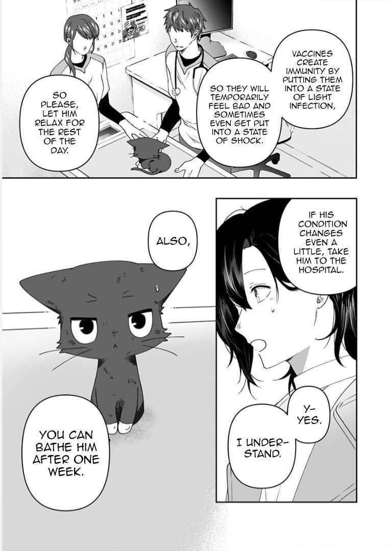 Page 11 Chapter 6 Neko ni wa Neko no Neko Gohan