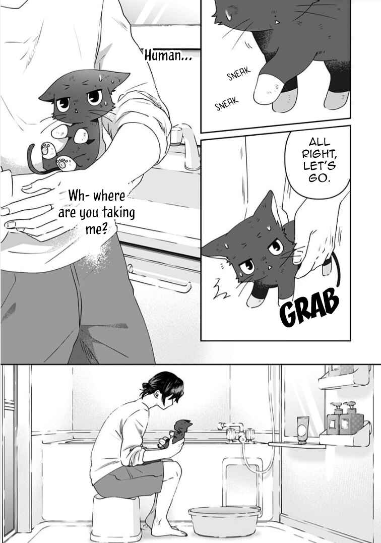 Page 5 Chapter 7 Neko ni wa Neko no Neko Gohan
