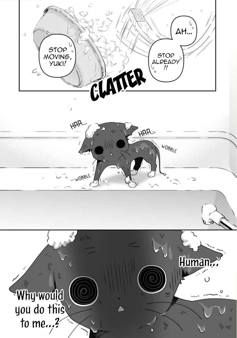 Page 8 Chapter 7 Neko ni wa Neko no Neko Gohan