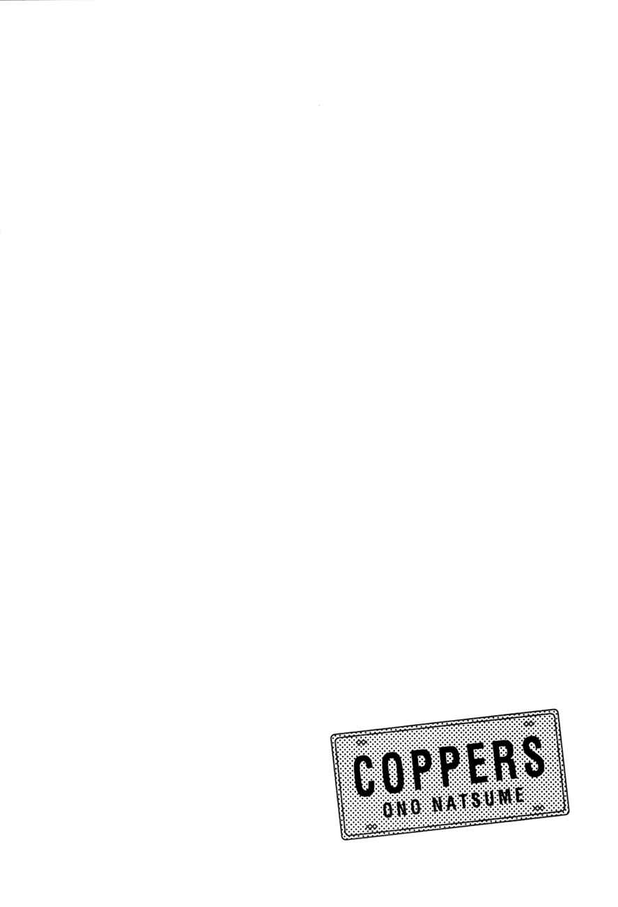 Page 22 Chapter 4 Coppers
