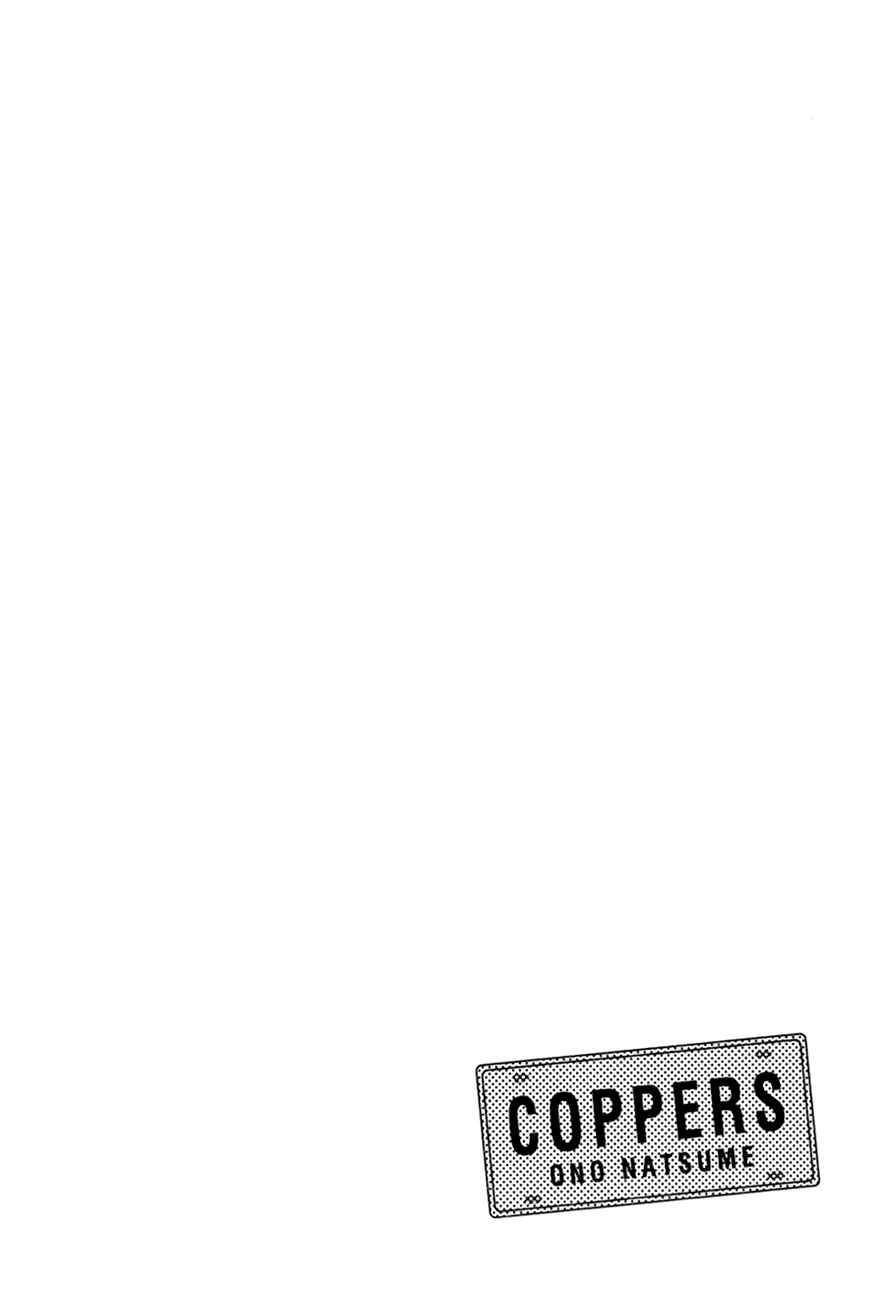 Page 31 Chapter 2 Coppers