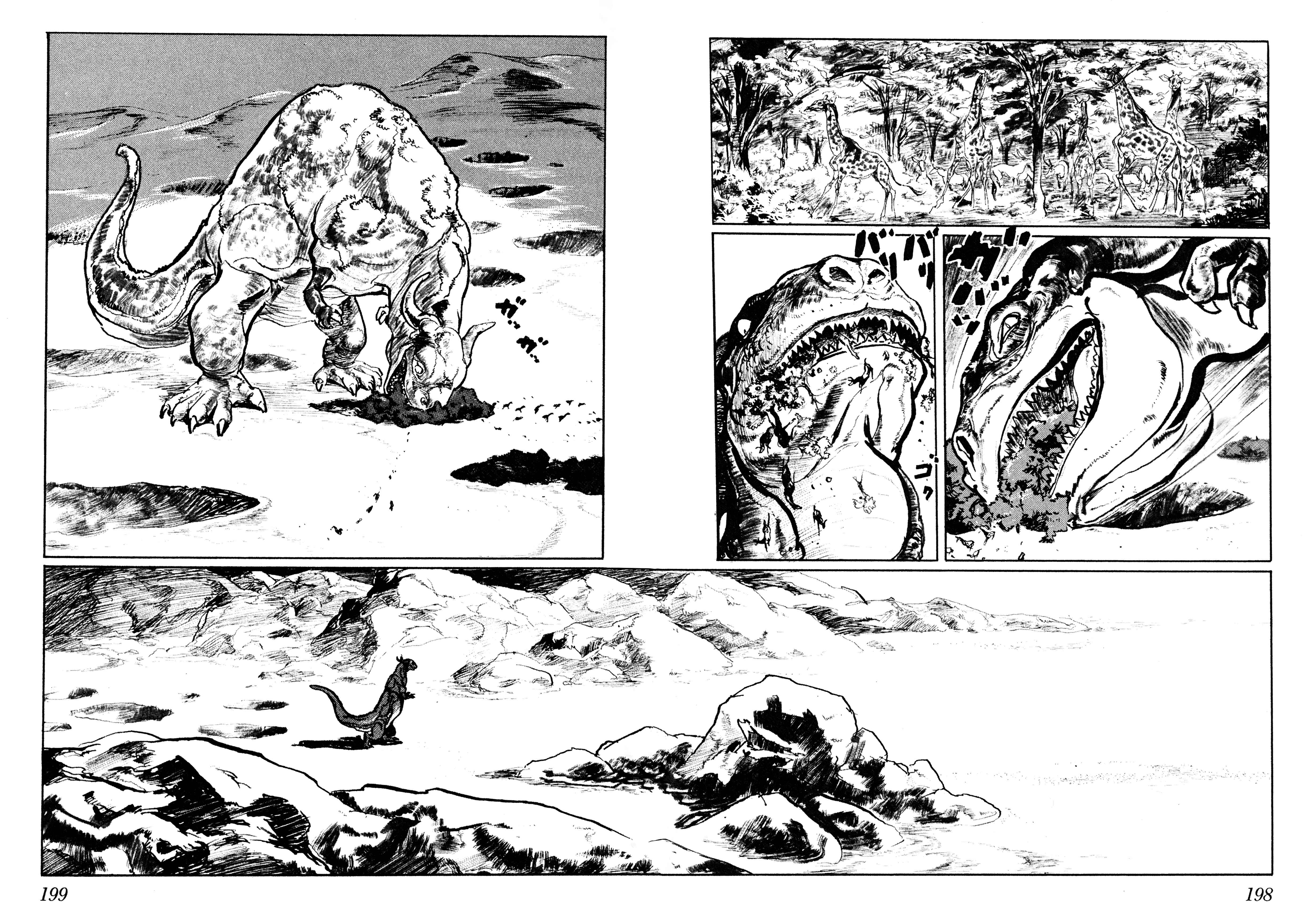 Page 27 Chapter 5 Savanna
