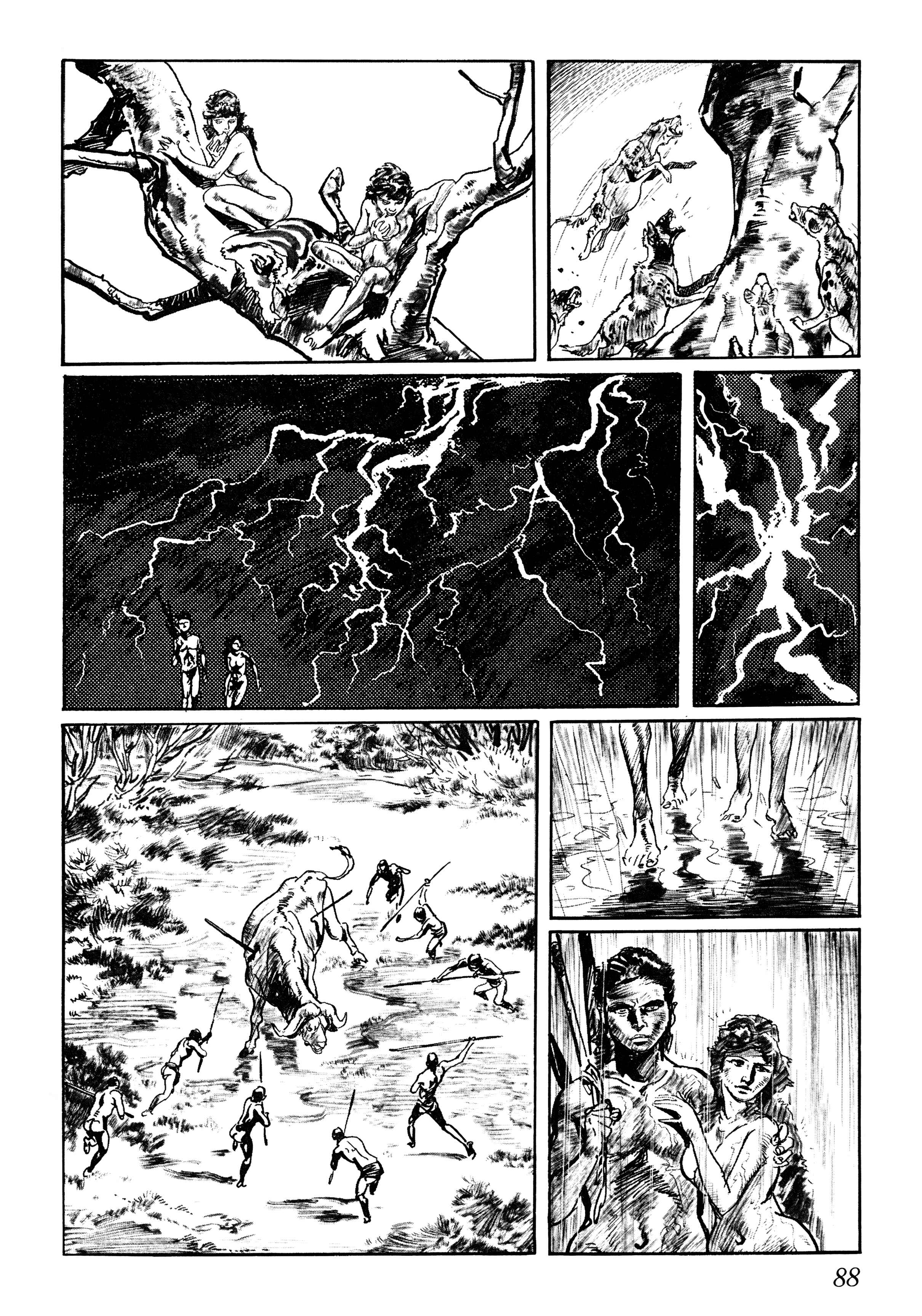Page 10 Chapter 3 Savanna
