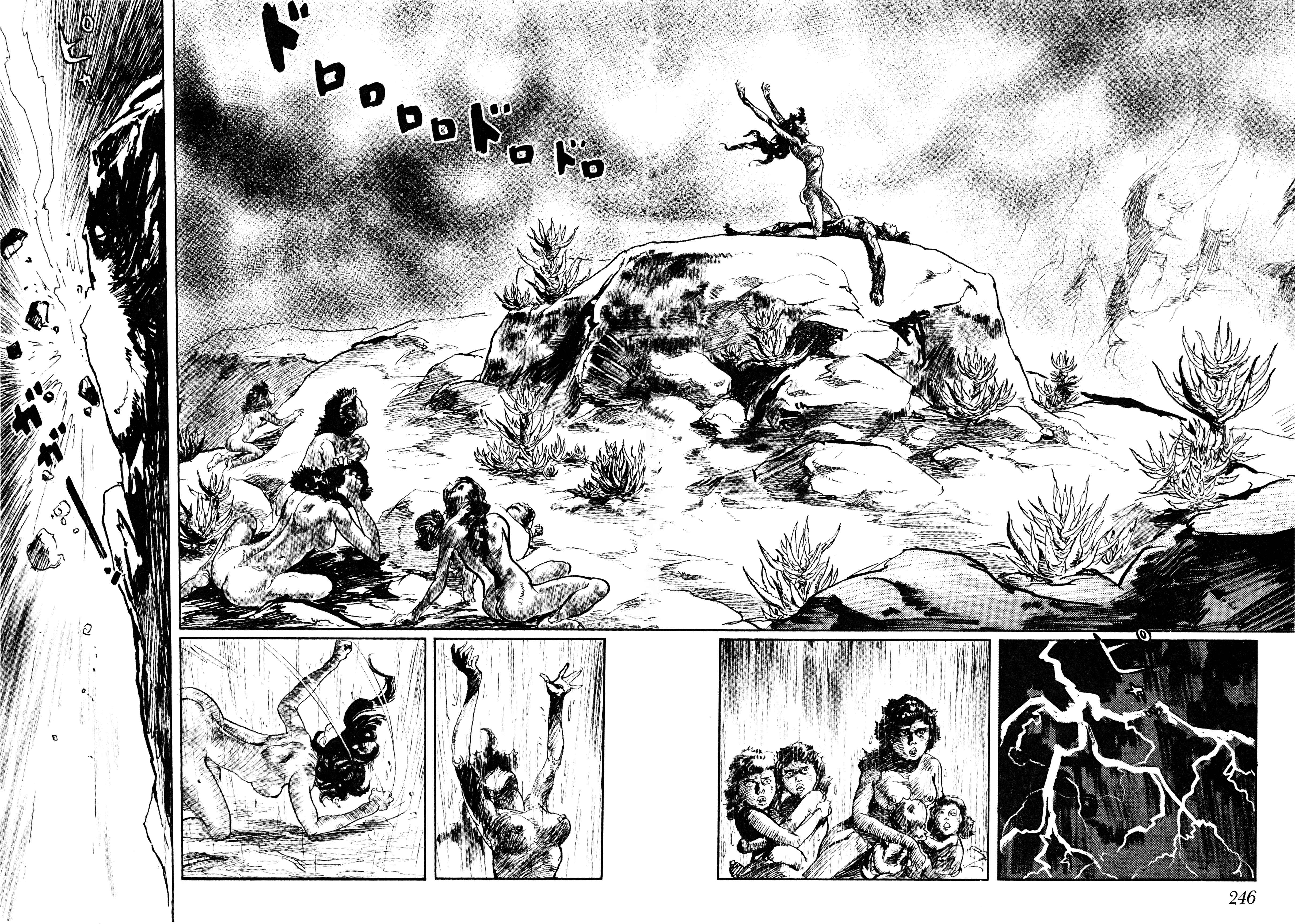 Page 19 Chapter 6 Savanna