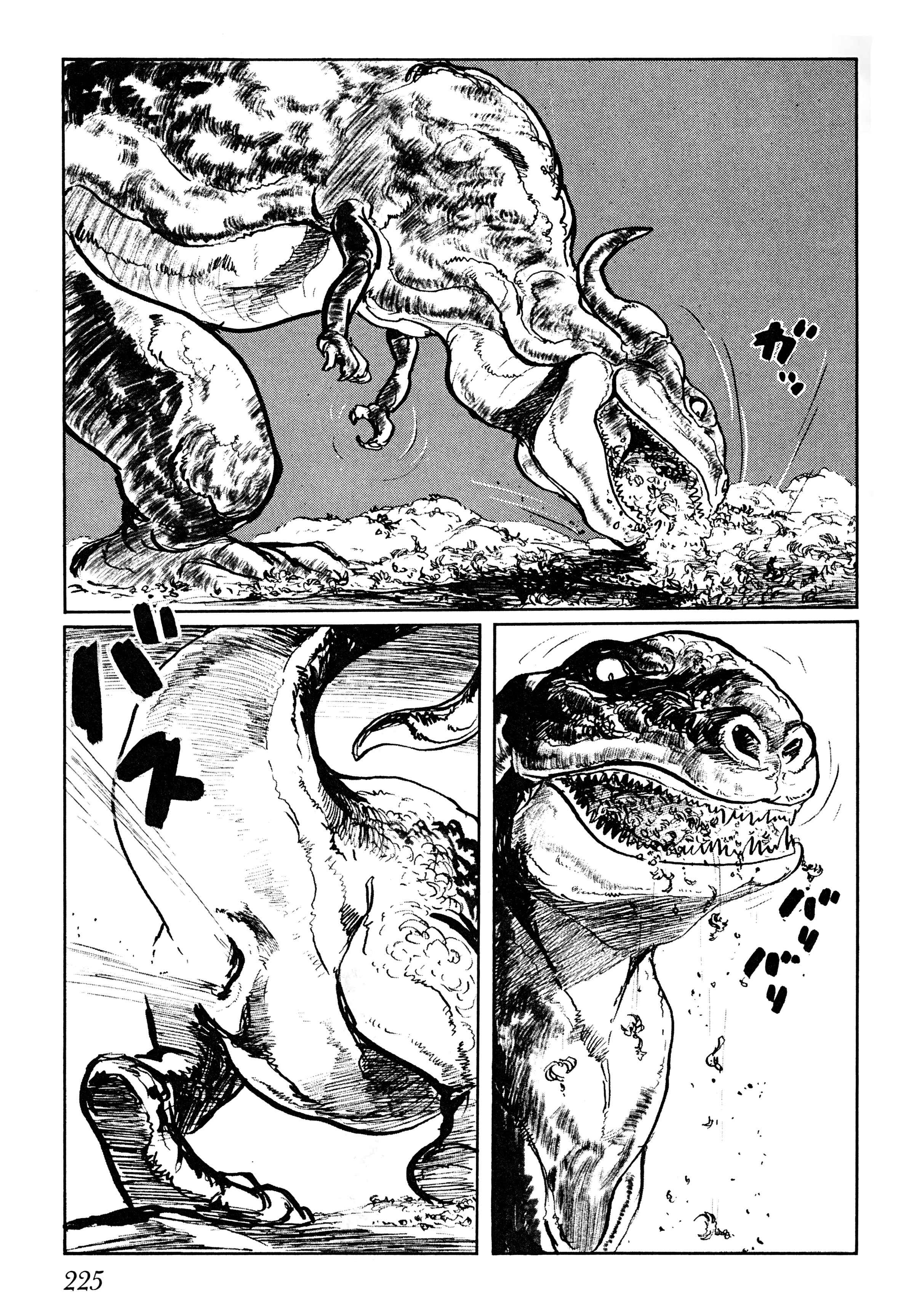 Page 3 Chapter 6 Savanna