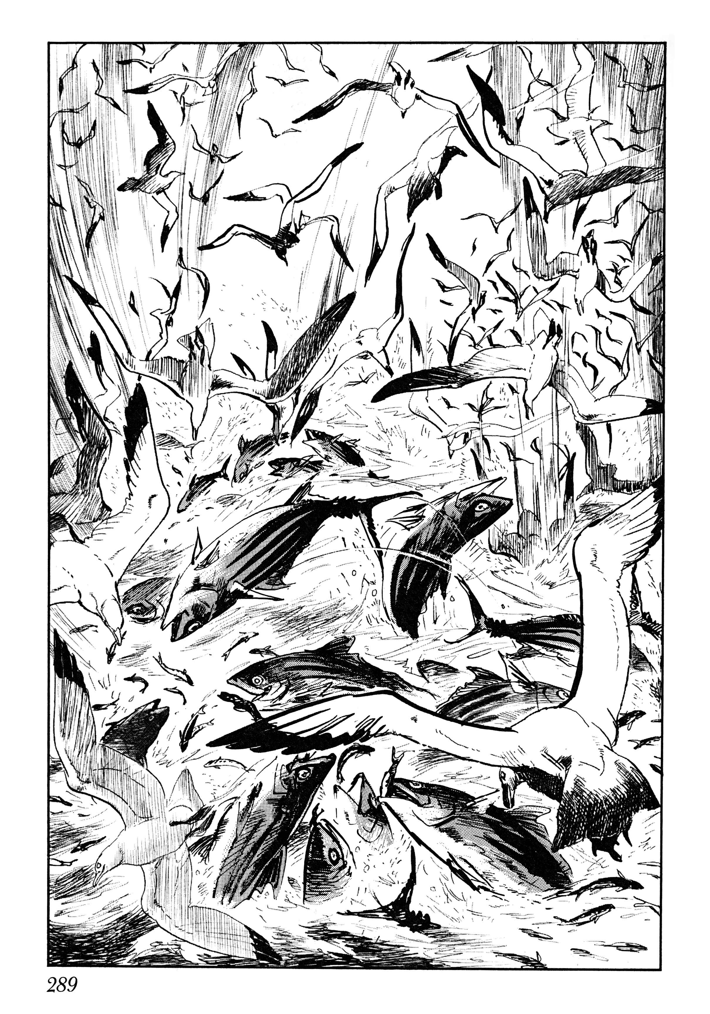 Page 50 Chapter 6 Savanna