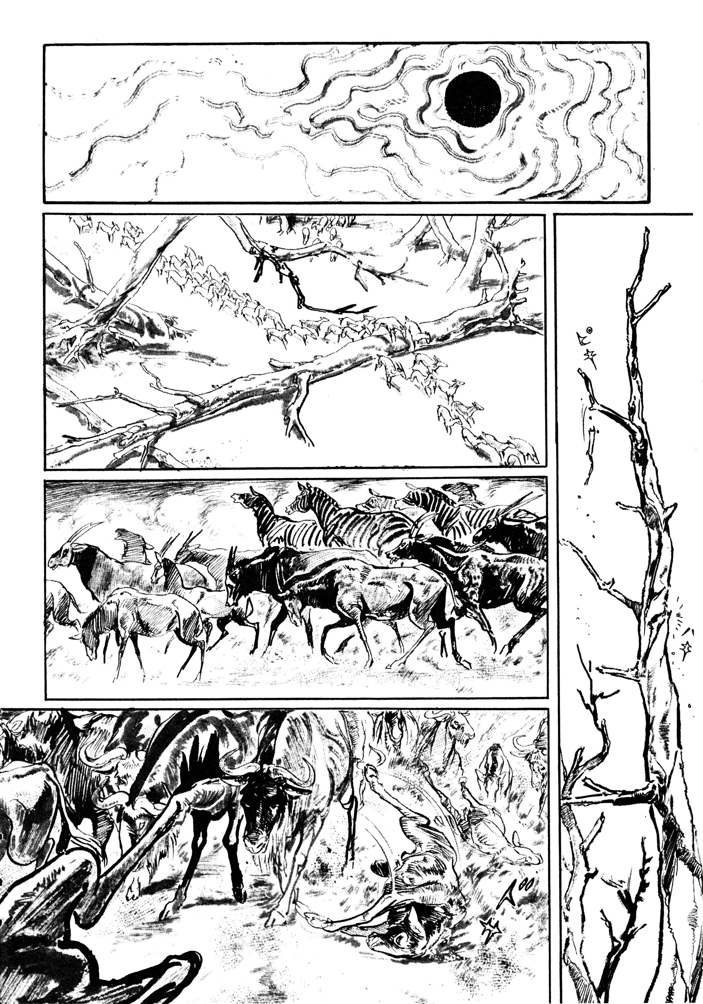 Page 16 Chapter 2 Savanna