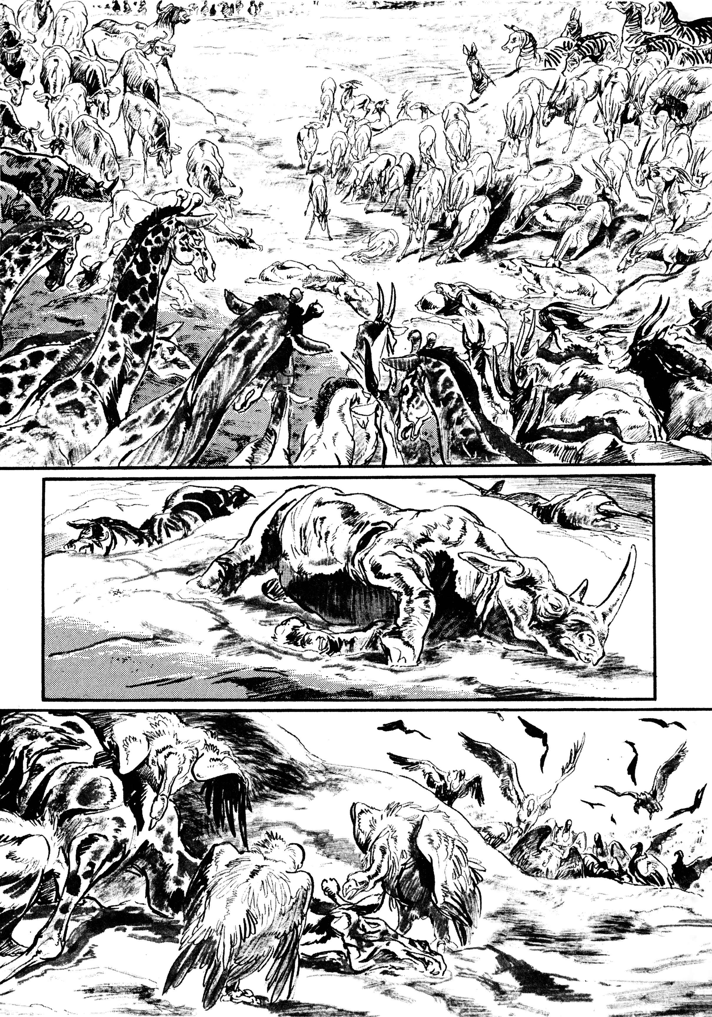 Page 17 Chapter 2 Savanna