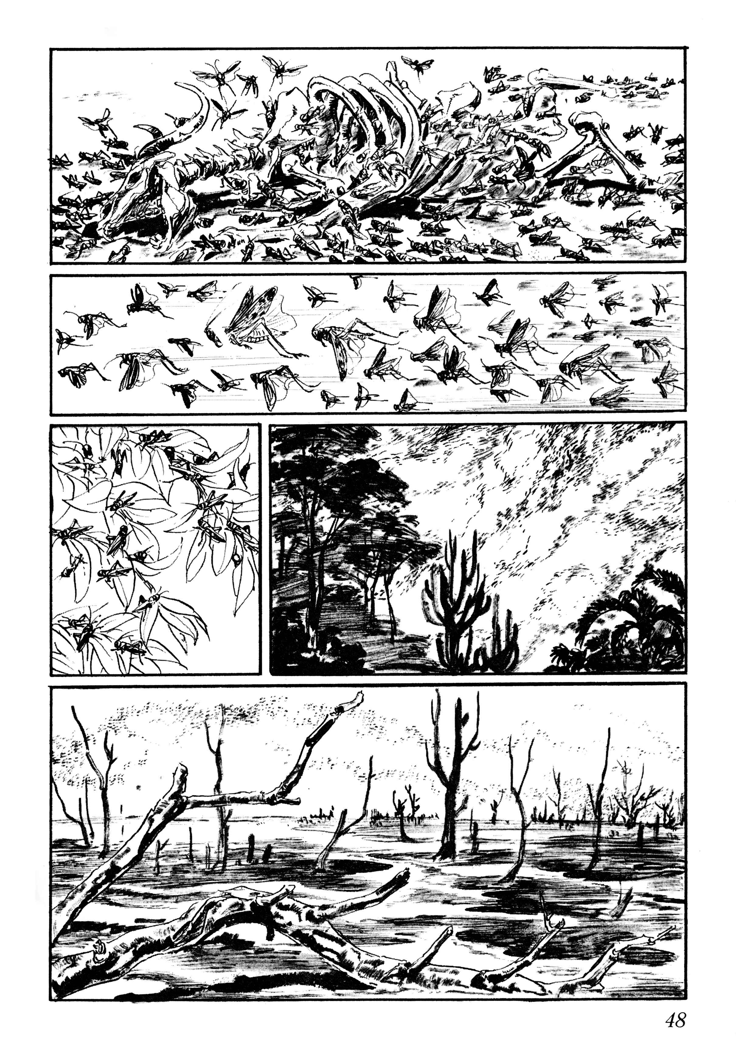 Page 3 Chapter 2 Savanna
