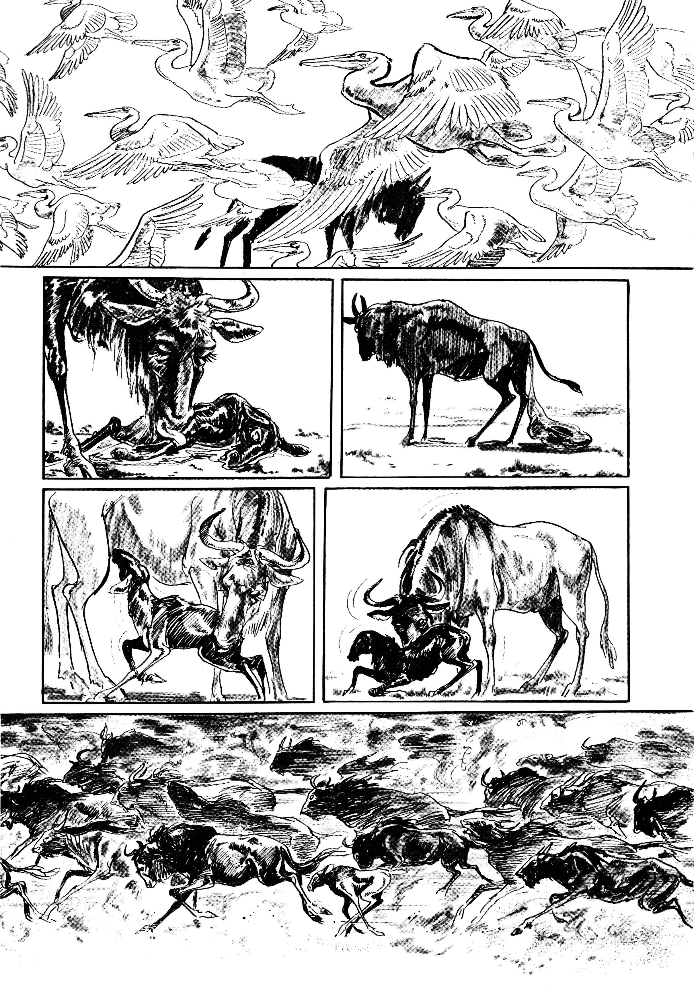 Page 8 Chapter 2 Savanna