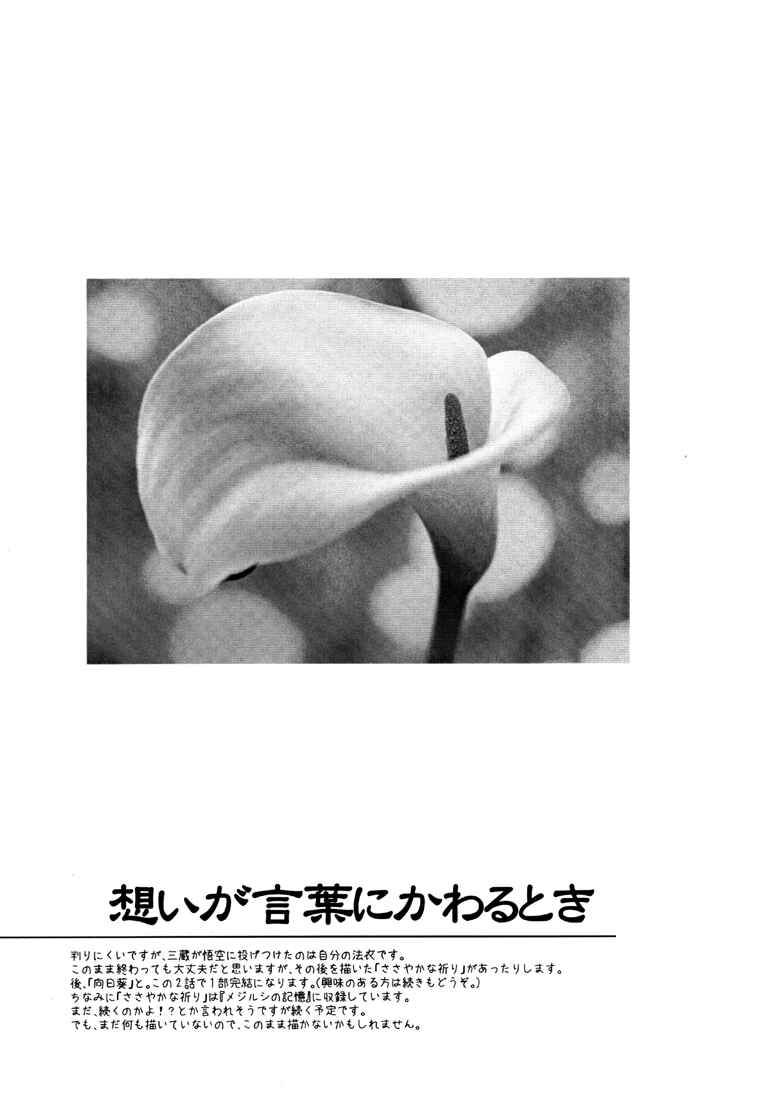 Page 20 Chapter 15 Saiyuki - As Far As I Can See, There Are Perfectly Clear Skies (Doujinshi)