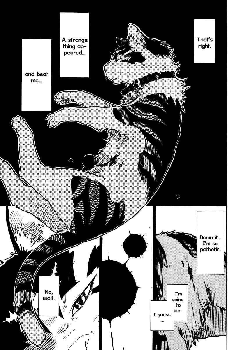 Page 12 Chapter 2 Gakuen Sousei Nekoten!