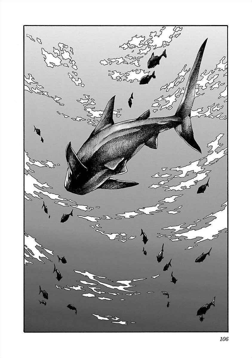 Page 43 Chapter 12 Cross H