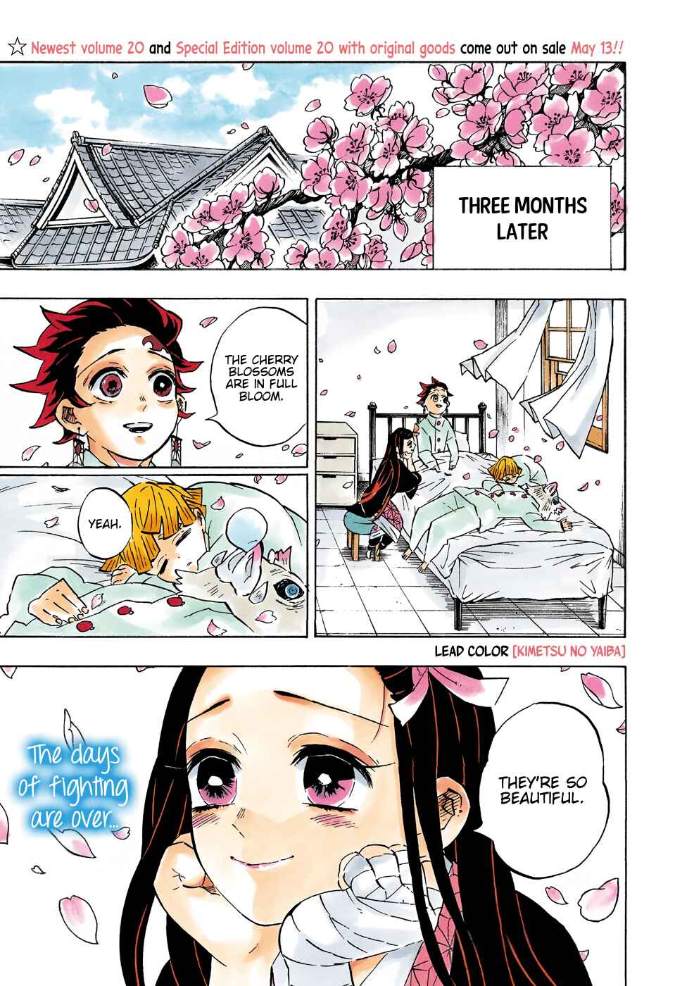 Page 4 Chapter 204 Demon Slayer: Kimetsu no Yaiba (Official Colored)