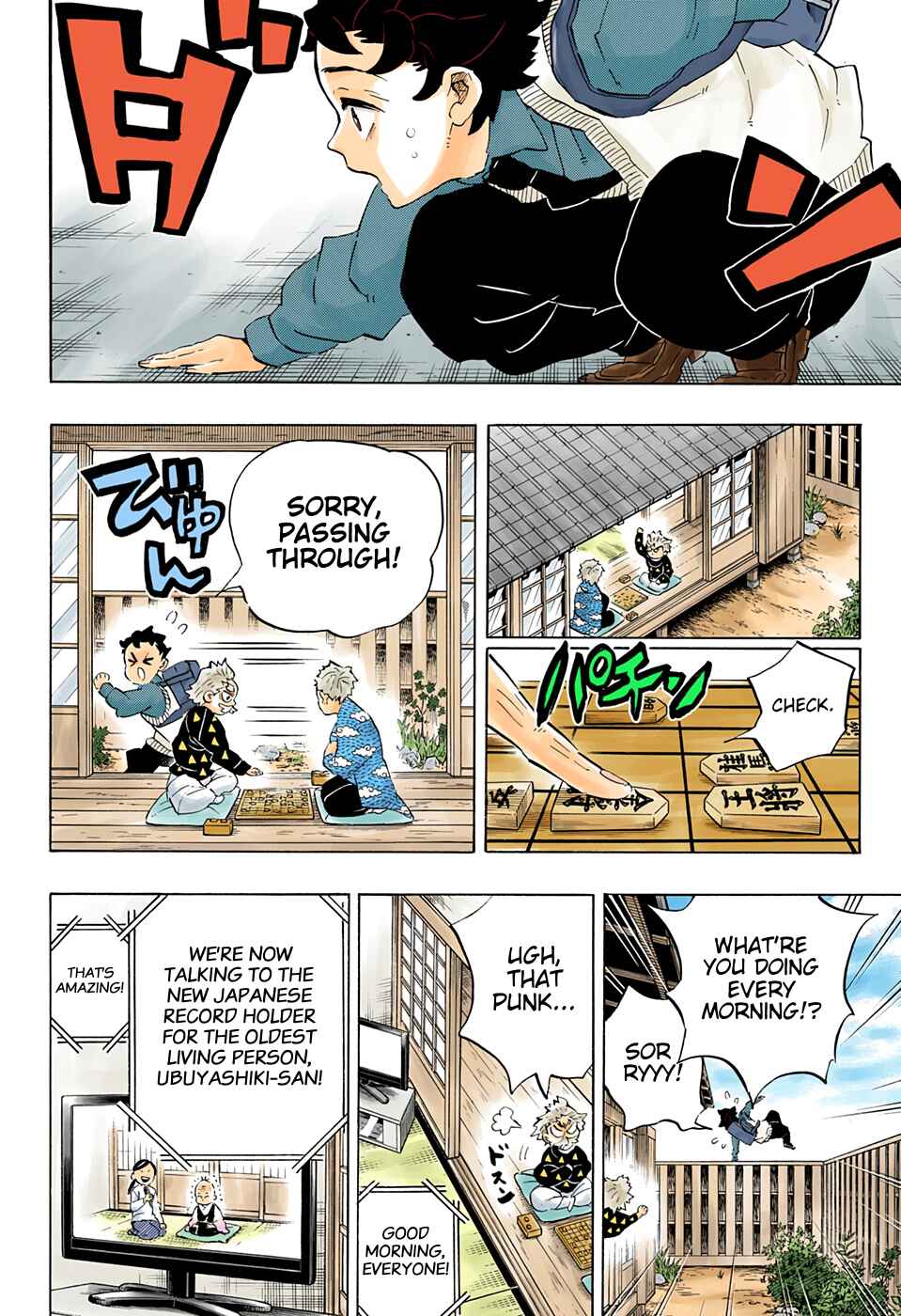 Page 13 Chapter 205 Demon Slayer: Kimetsu no Yaiba (Official Colored)