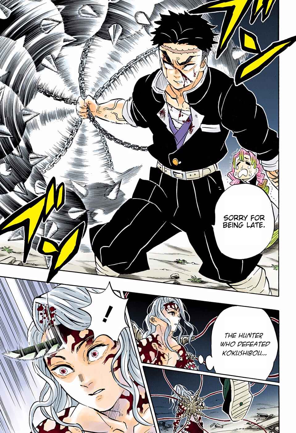 Page 13 Chapter 185 Demon Slayer: Kimetsu no Yaiba (Official Colored)