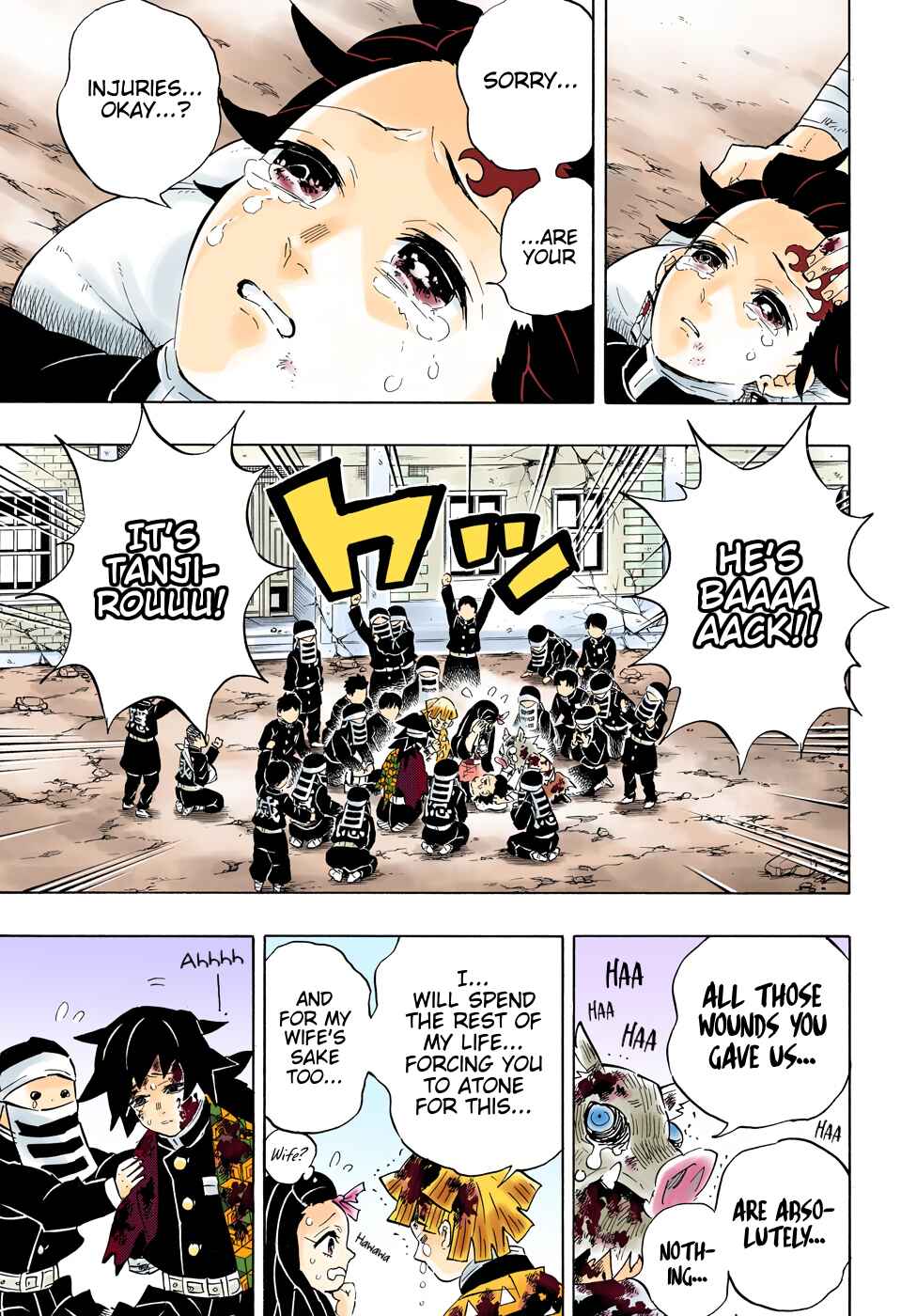 Page 17 Chapter 203 Demon Slayer: Kimetsu no Yaiba (Official Colored)