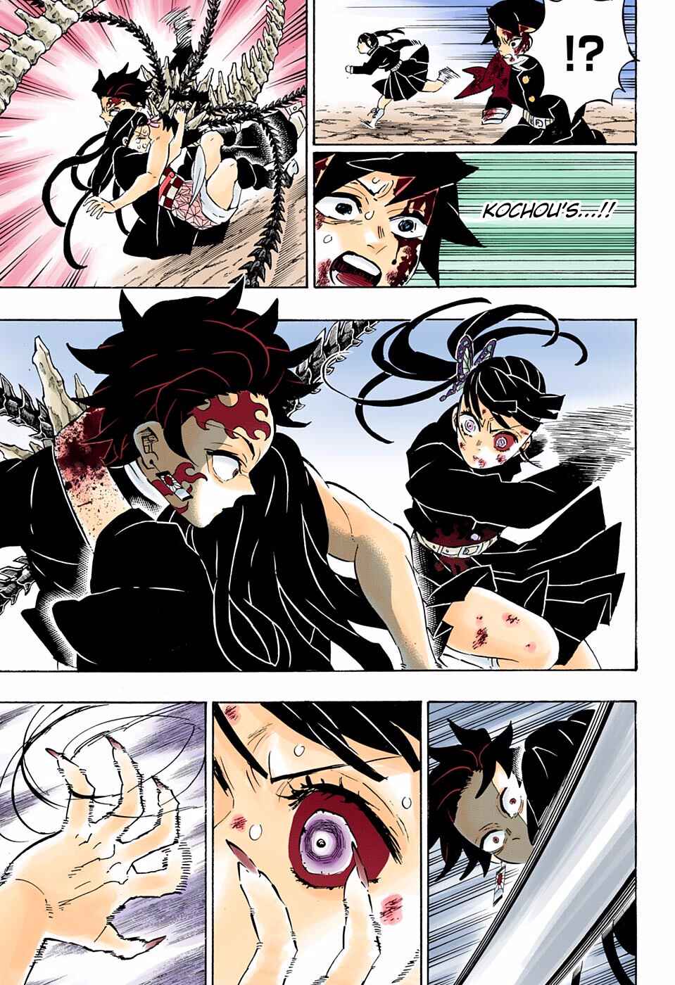 Page 17 Chapter 202 Demon Slayer: Kimetsu no Yaiba (Official Colored)