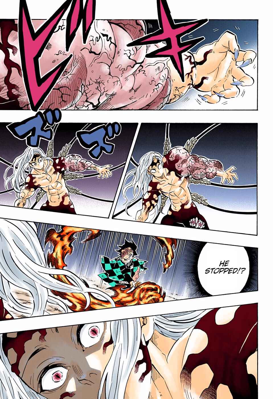 Page 17 Chapter 196 Demon Slayer: Kimetsu no Yaiba (Official Colored)