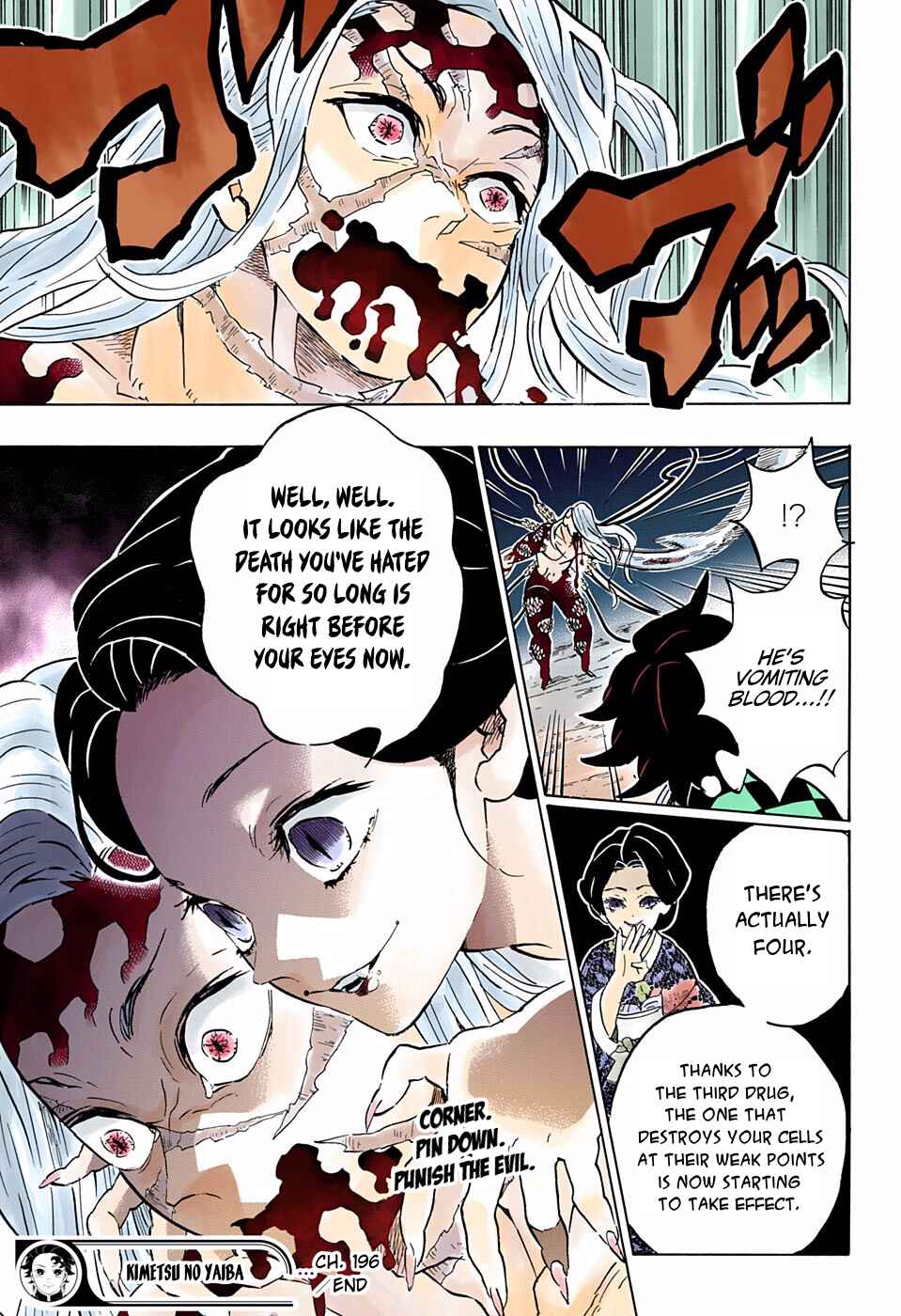 Page 19 Chapter 196 Demon Slayer: Kimetsu no Yaiba (Official Colored)