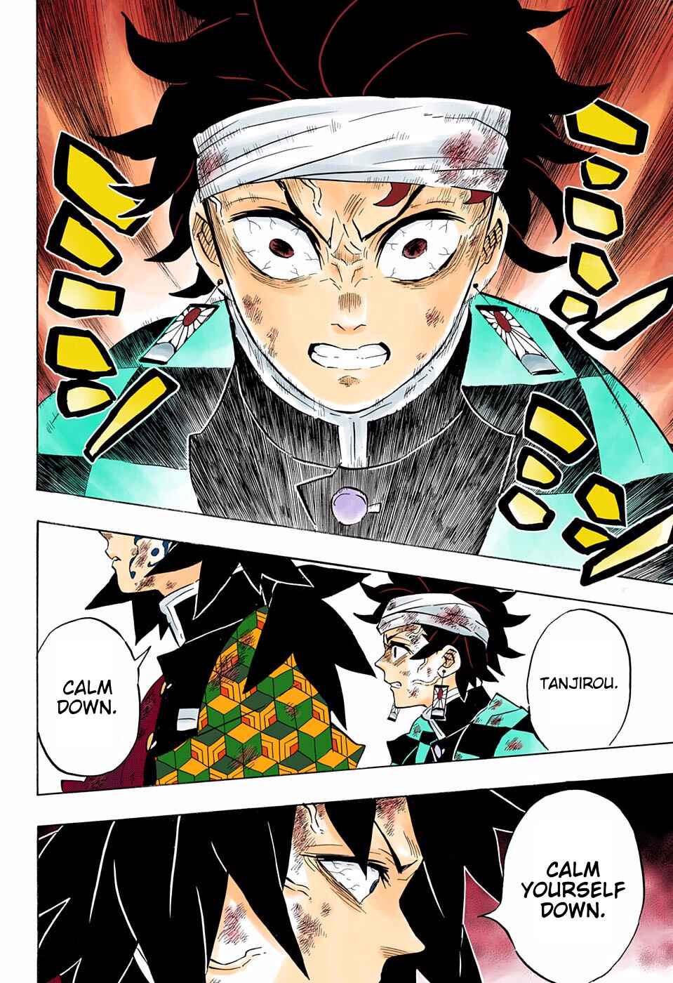 Page 13 Chapter 181 Demon Slayer: Kimetsu no Yaiba (Official Colored)