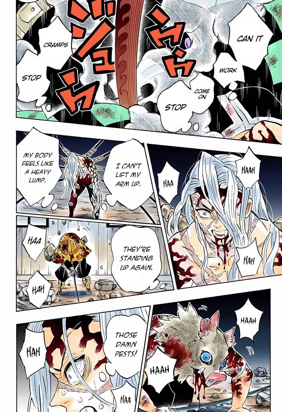 Page 17 Chapter 197 Demon Slayer: Kimetsu no Yaiba (Official Colored)
