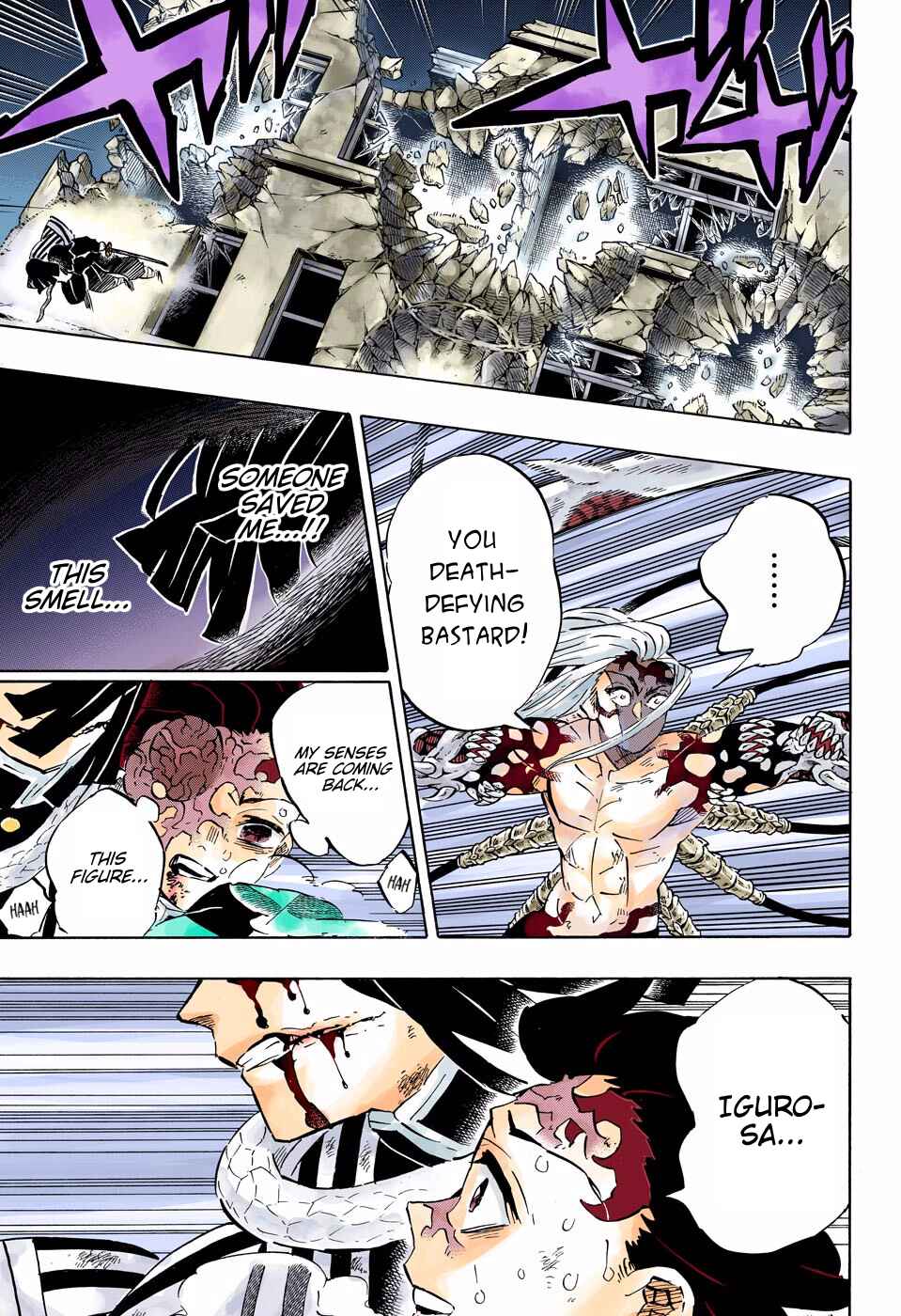 Page 9 Chapter 194 Demon Slayer: Kimetsu no Yaiba (Official Colored)