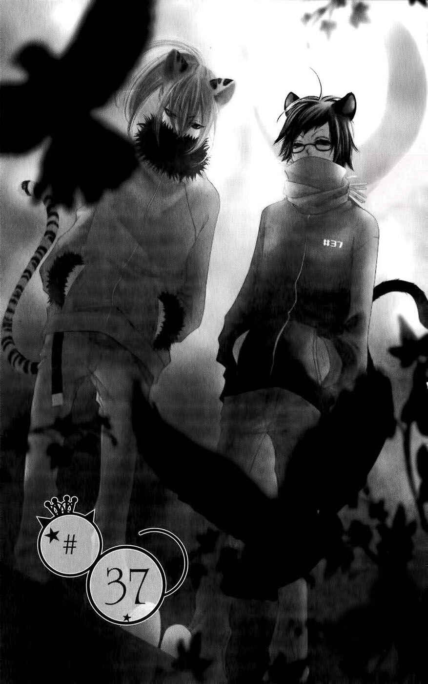 Page 1 Chapter 37 Monochrome Shounen Shoujo