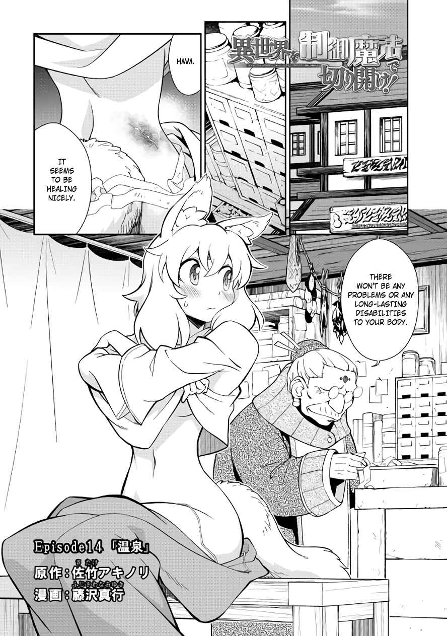 Page 1 Chapter 14 Carve the Different World with Control Magic!