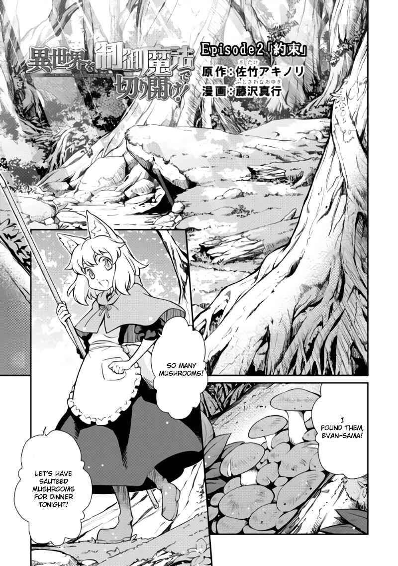 Page 1 Chapter 2 Carve the Different World with Control Magic!