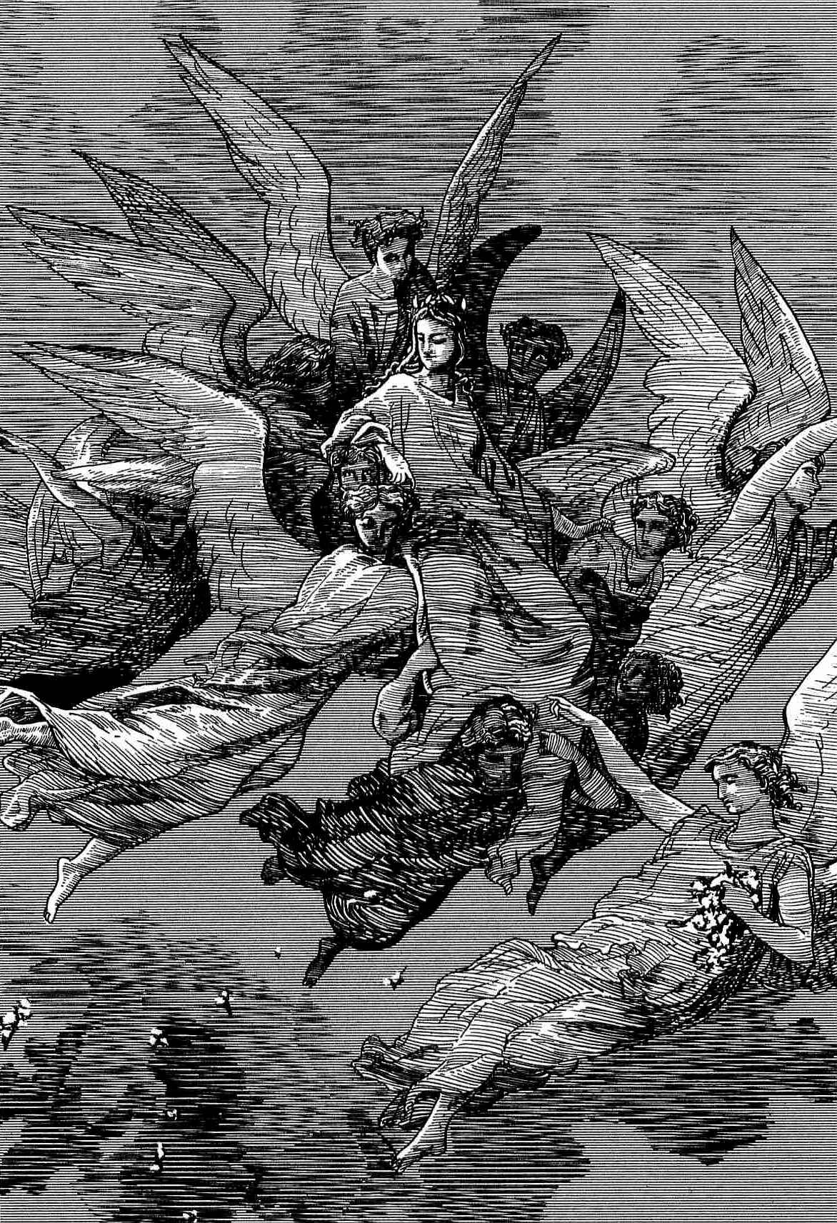 Page 4 Chapter 29 Dantes Divine Comedy