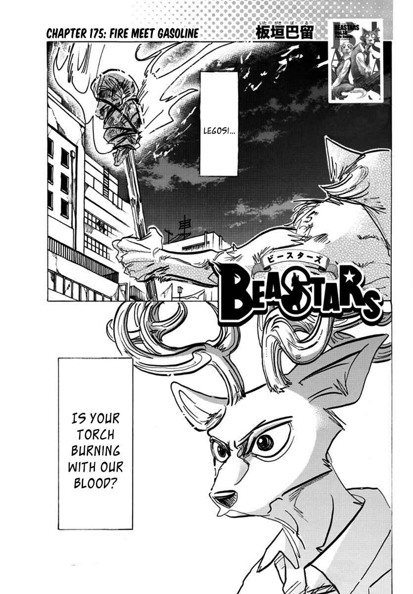 Page 1 Chapter 175 BEASTARS