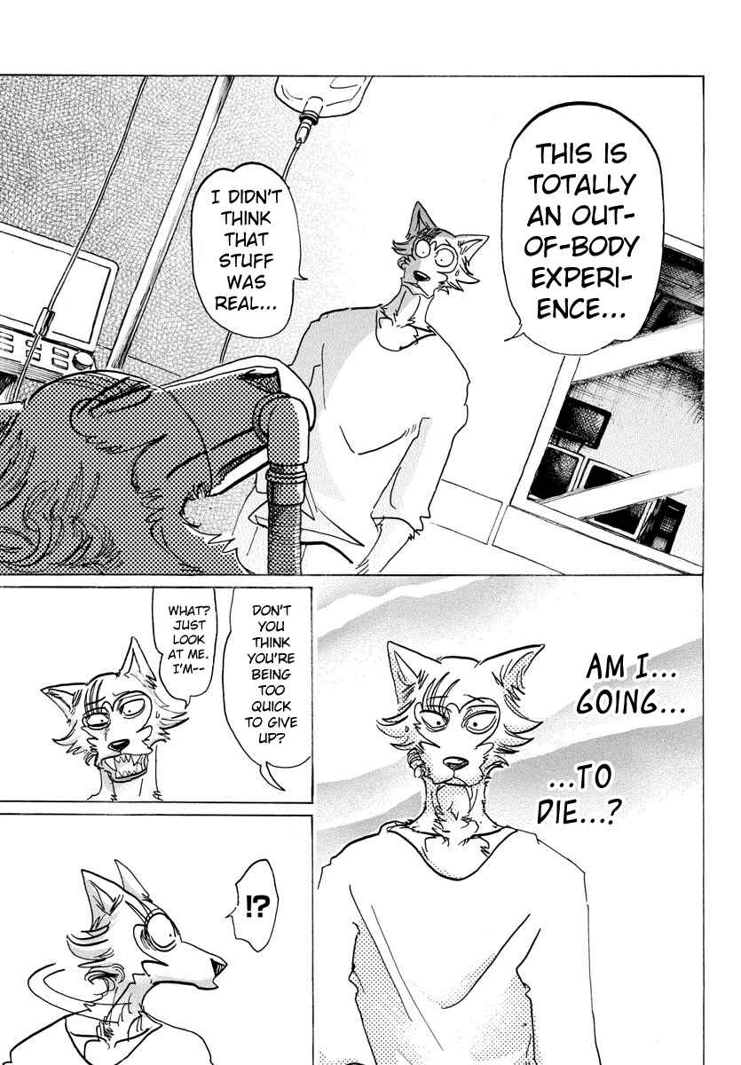 Page 17 Chapter 132 BEASTARS