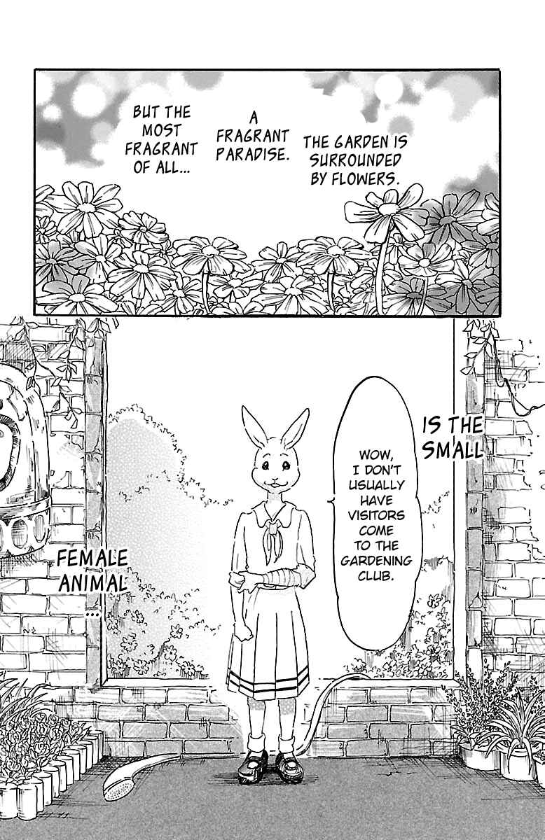 Page 4 Chapter 8 BEASTARS