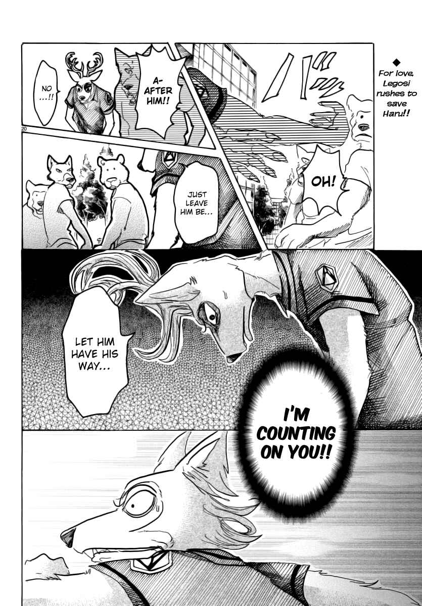 Page 19 Chapter 36 BEASTARS