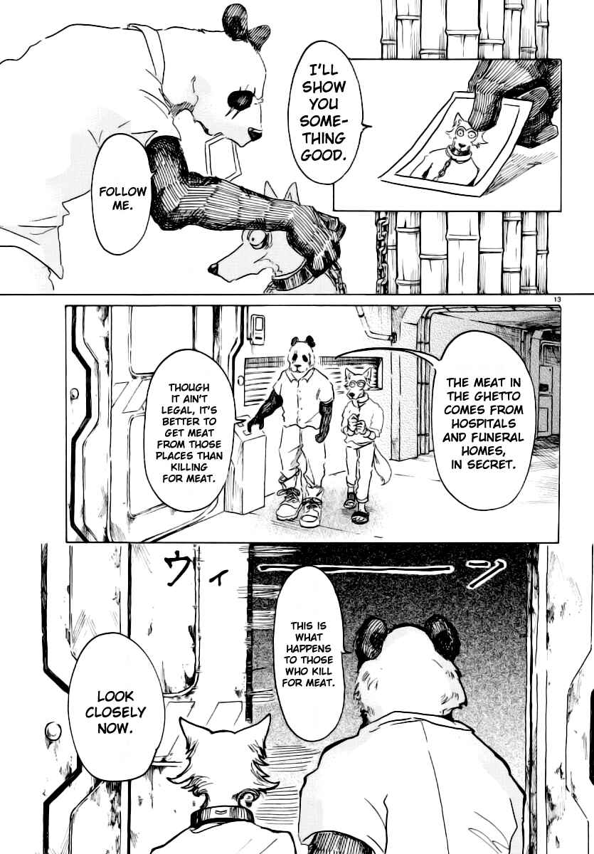 Page 13 Chapter 24 BEASTARS