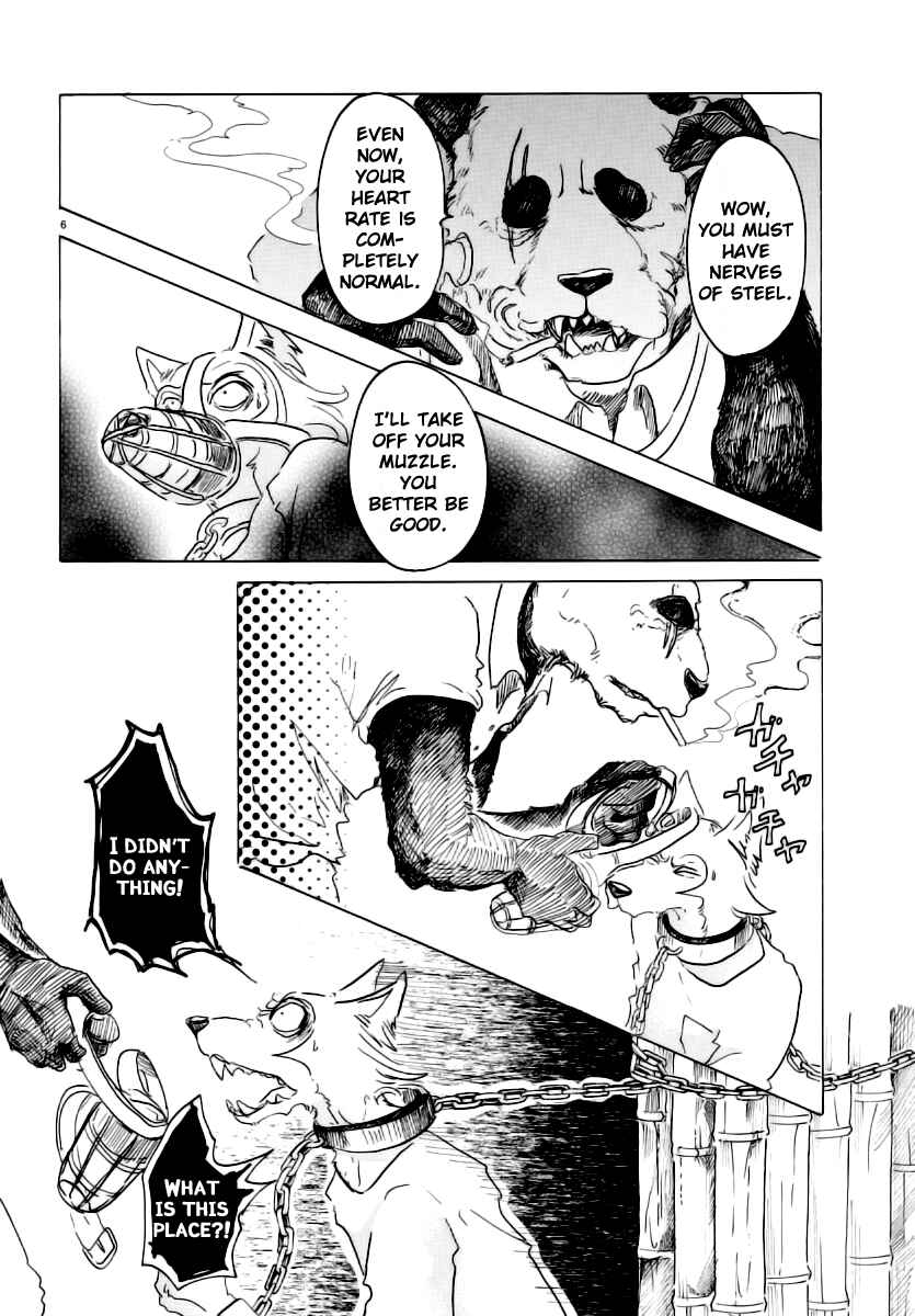 Page 6 Chapter 24 BEASTARS