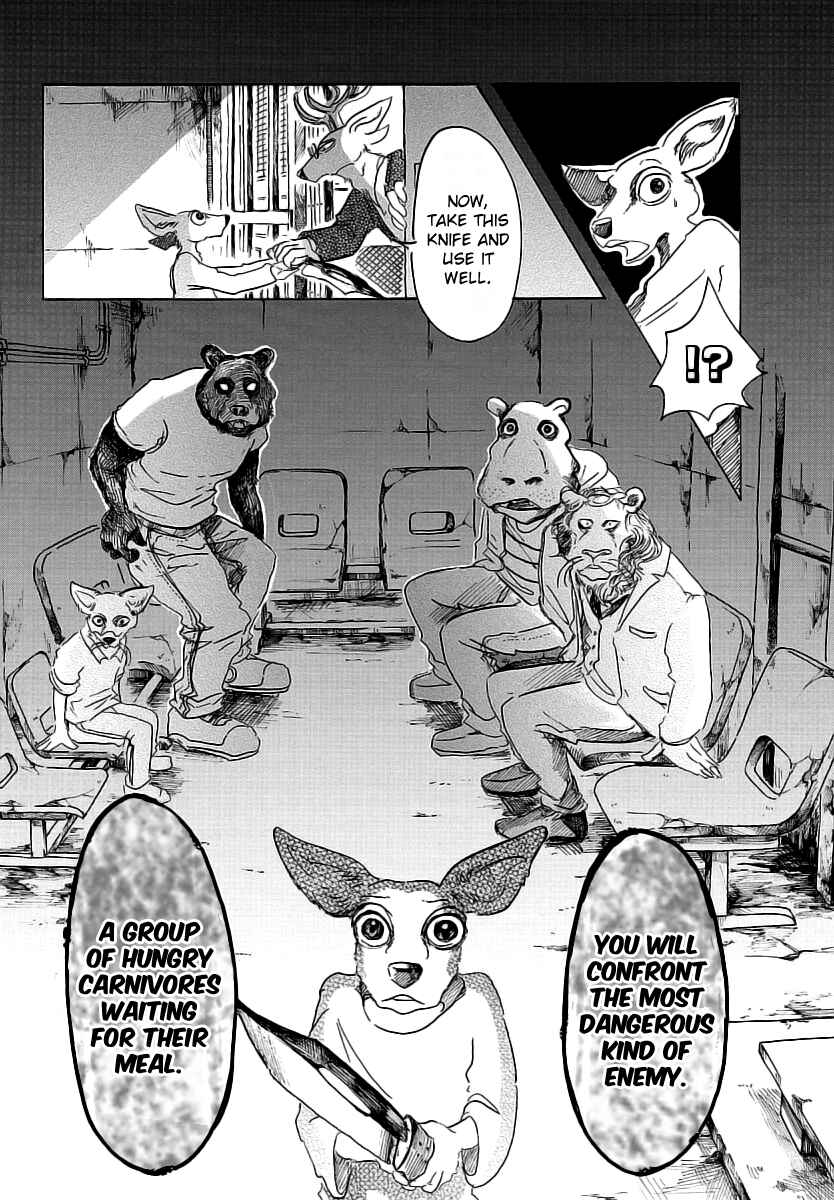 Page 17 Chapter 33 BEASTARS