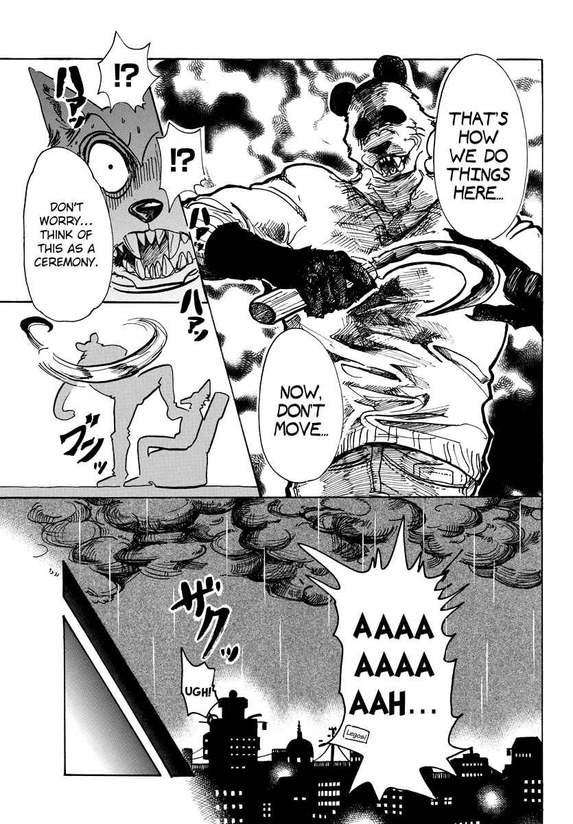 Page 12 Chapter 62 BEASTARS